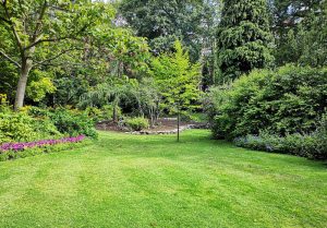 Optimiser l'expérience du jardin à Montfort-sur-Argens